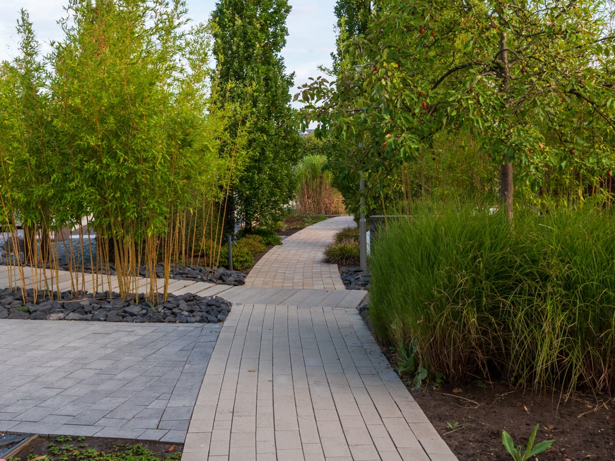 Curved paved path moving through layered trees and planting
